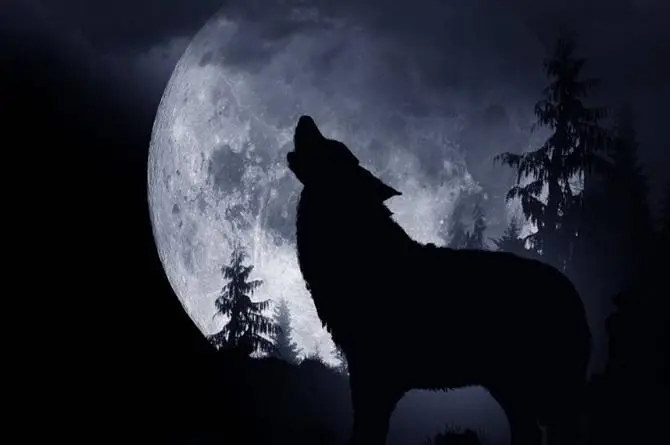 ¡Ah jijo! Luna llena de Lobo 2023... ¿Cuándo, dónde y cómo verla?