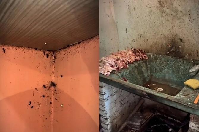 ¡Que asco! Clausuran restaurante por nido de cucarachas y suciedad extrema (+video)