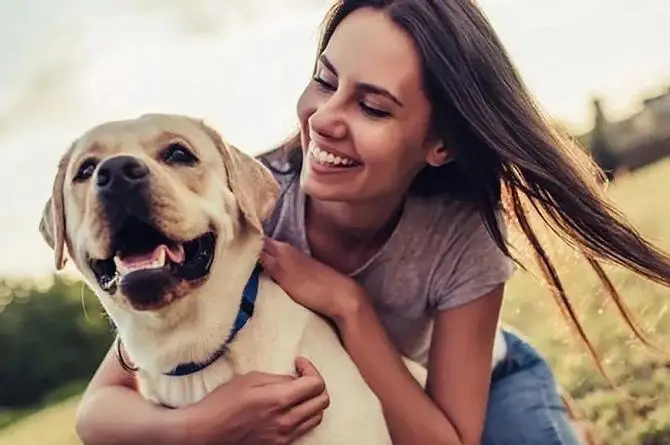 ¿Quieres acta de nacimiento para tu mascota? Aquí los requisitos en Veracruz