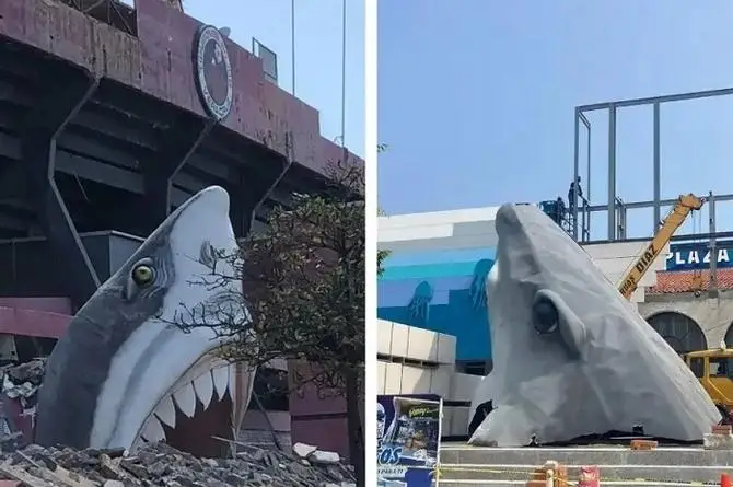 ¡Las cabezas de tiburón del 'Pirata' Fuente estarán en el Acuario de Veracruz!