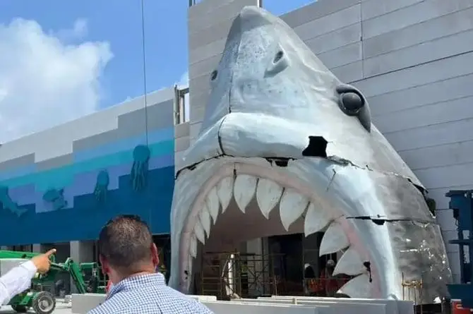 ¡Rota! Así quedó puesta la cabeza de los Tiburones Rojos en el Acuario de Veracruz